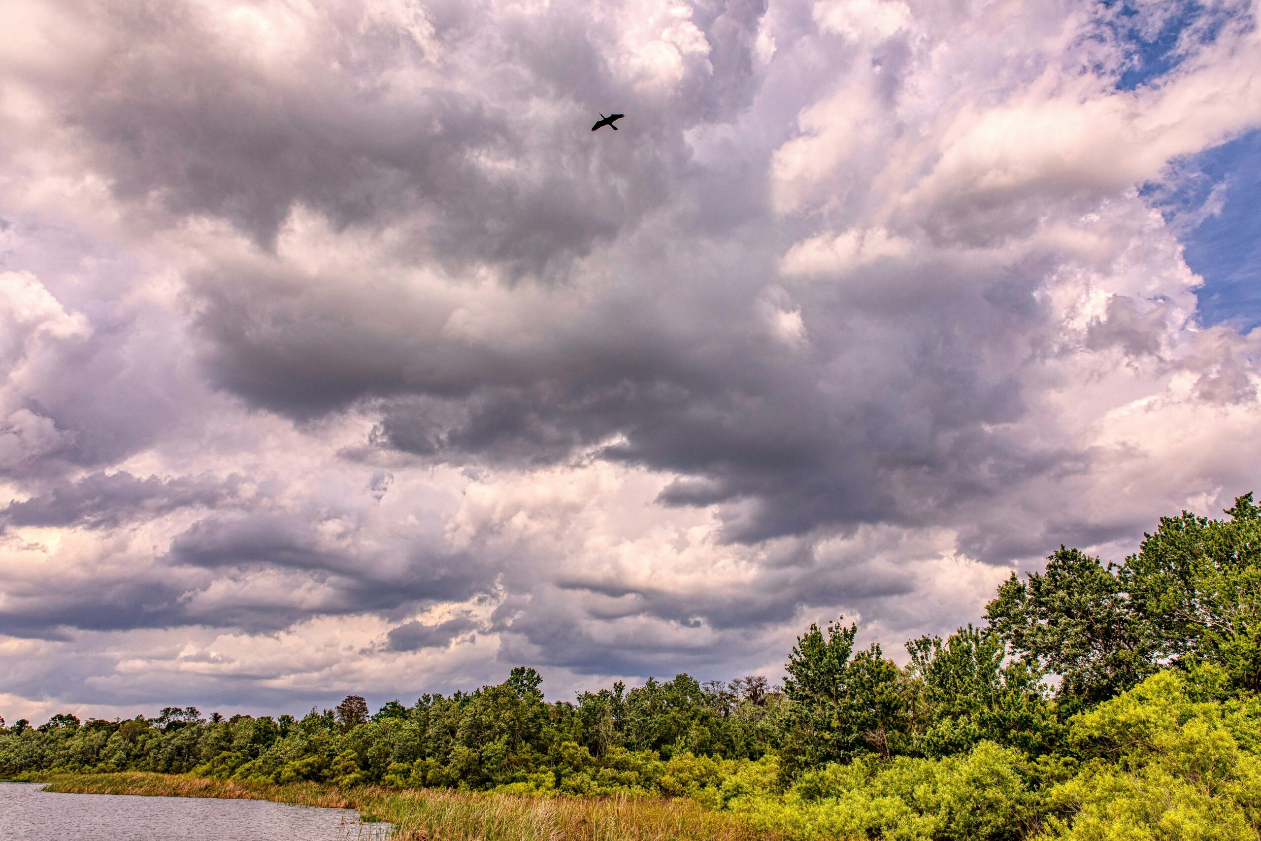 Storm clouds building over Florida