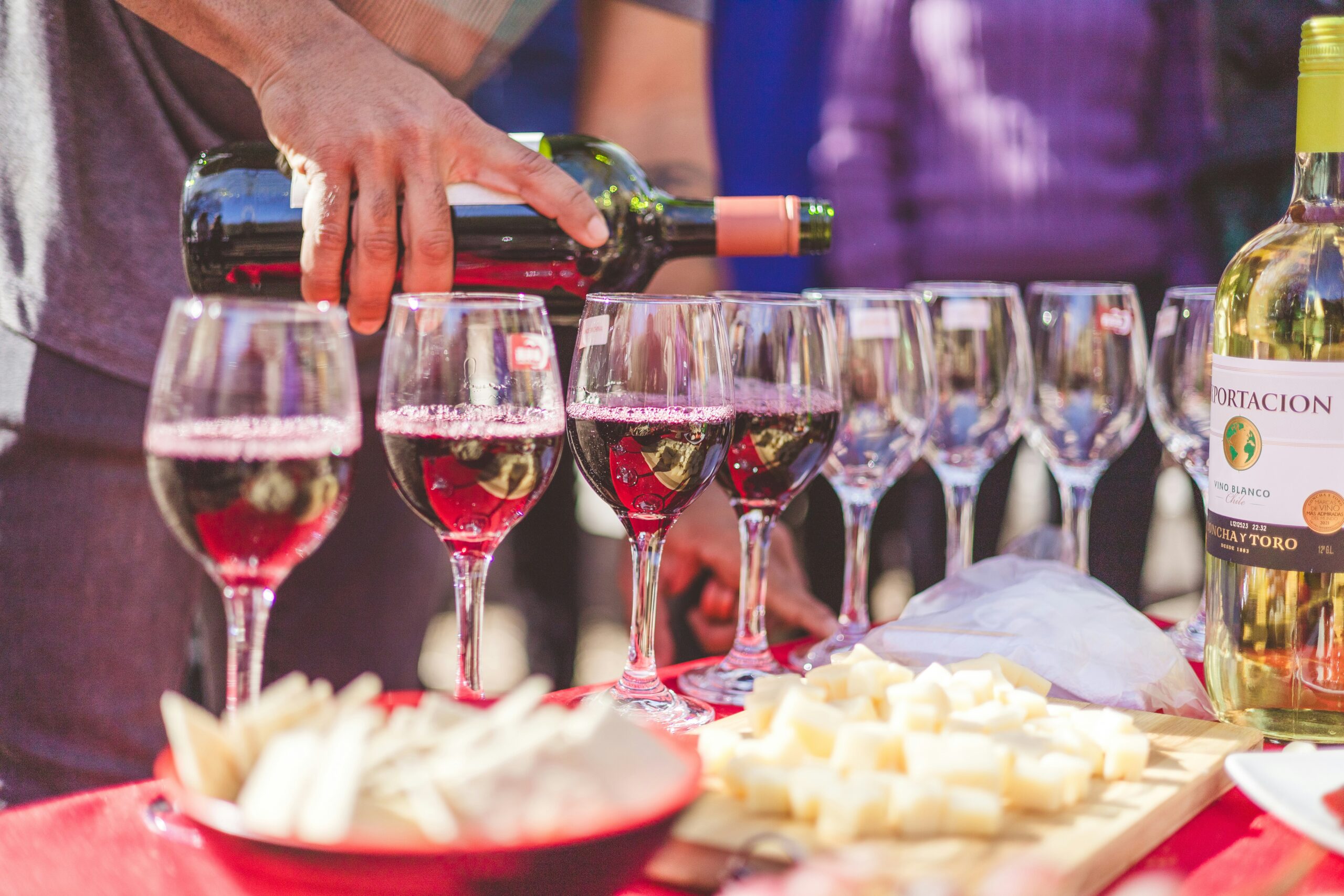 Glasses of wine lined up at a festival tasting
