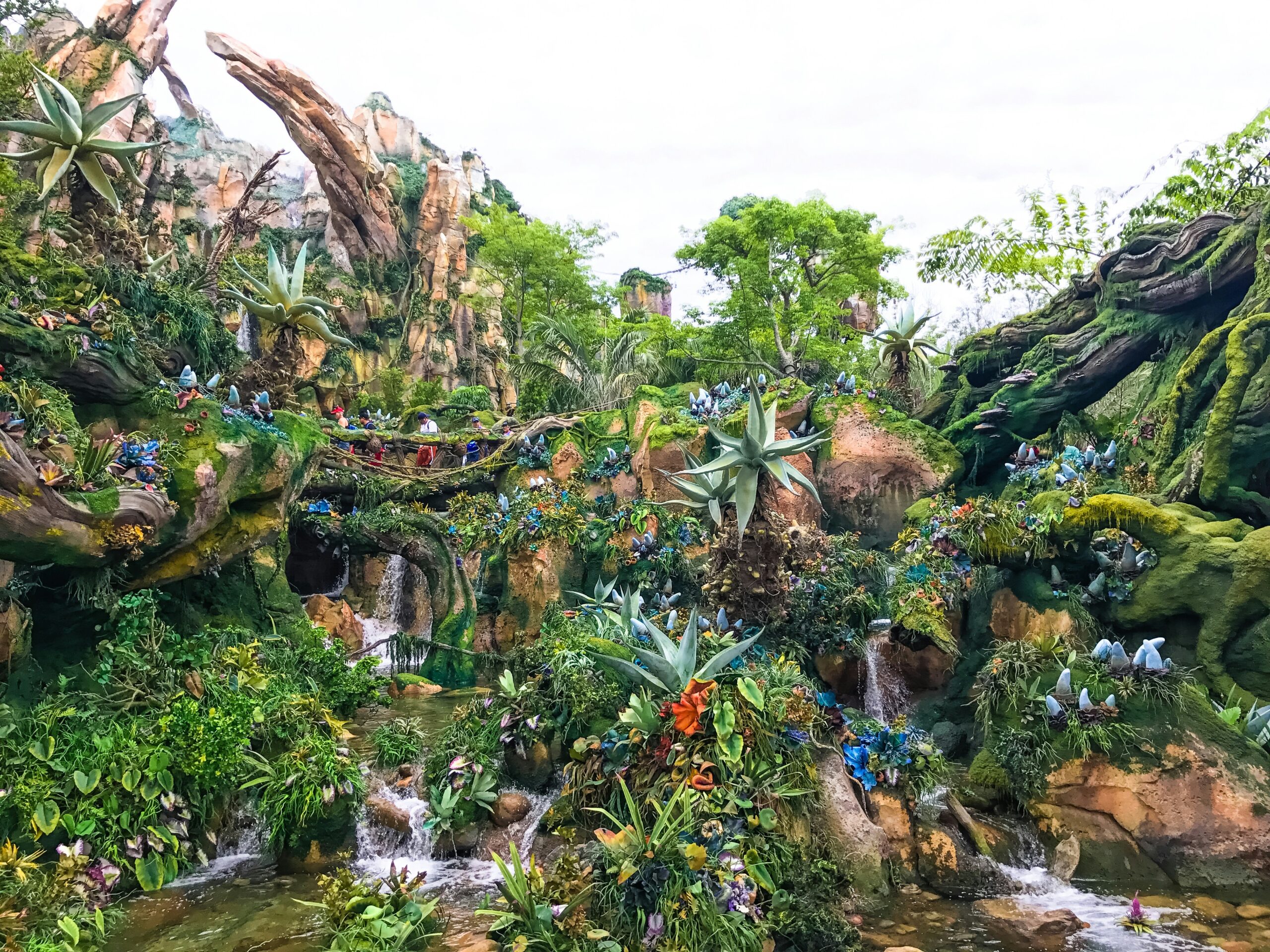 Lush planting in Pandora, Animal Kingdom