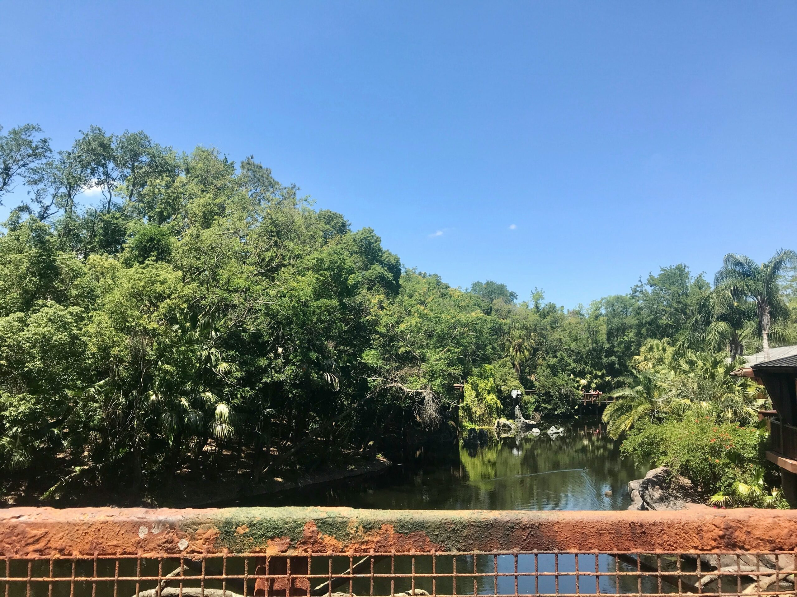 Savanna landscape at Animal Kingdom