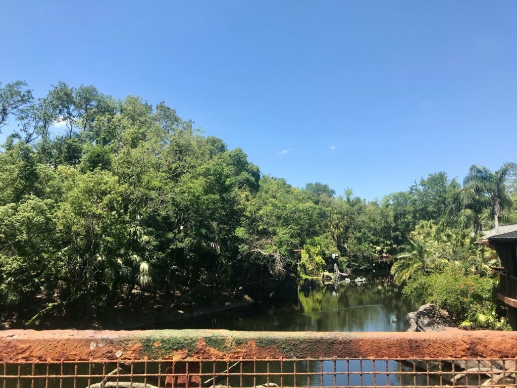 Savanna landscape at Animal Kingdom
